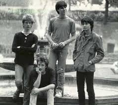 The Chameleons