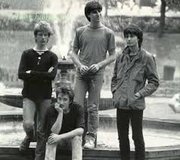 The Chameleons