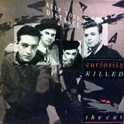 Curiosity Killed The Cat