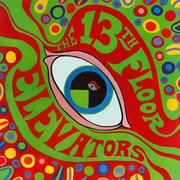 The Psychedelic Sounds Of The 13th Floor Elevators