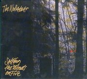 Setting The Woods On Fire