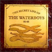 The Secret Life Of The Waterboys 81–85