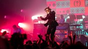 Pulp