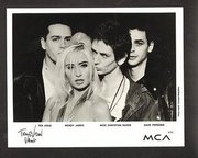 Transvision Vamp