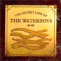 The Secret Life Of The Waterboys 81–85